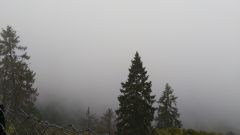 IMG_20211009_100357