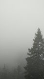 IMG_20211009_100432