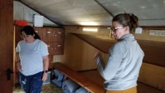 IMG_20211009_100733