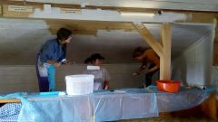 IMG_20211009_112951