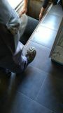 IMG_20211009_155133