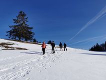 IMG_20220212_103413