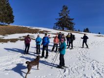 IMG_20220212_103744