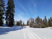 IMG_20220212_104737