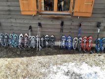 IMG_20220212_105604