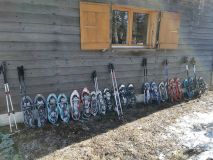 IMG_20220212_105605