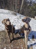 IMG_20220212_115153