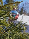 IMG_20220213_115526