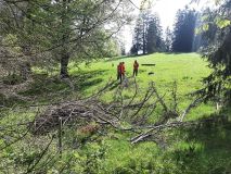 IMG_20220514_100146