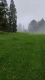 IMG_20220521_082740